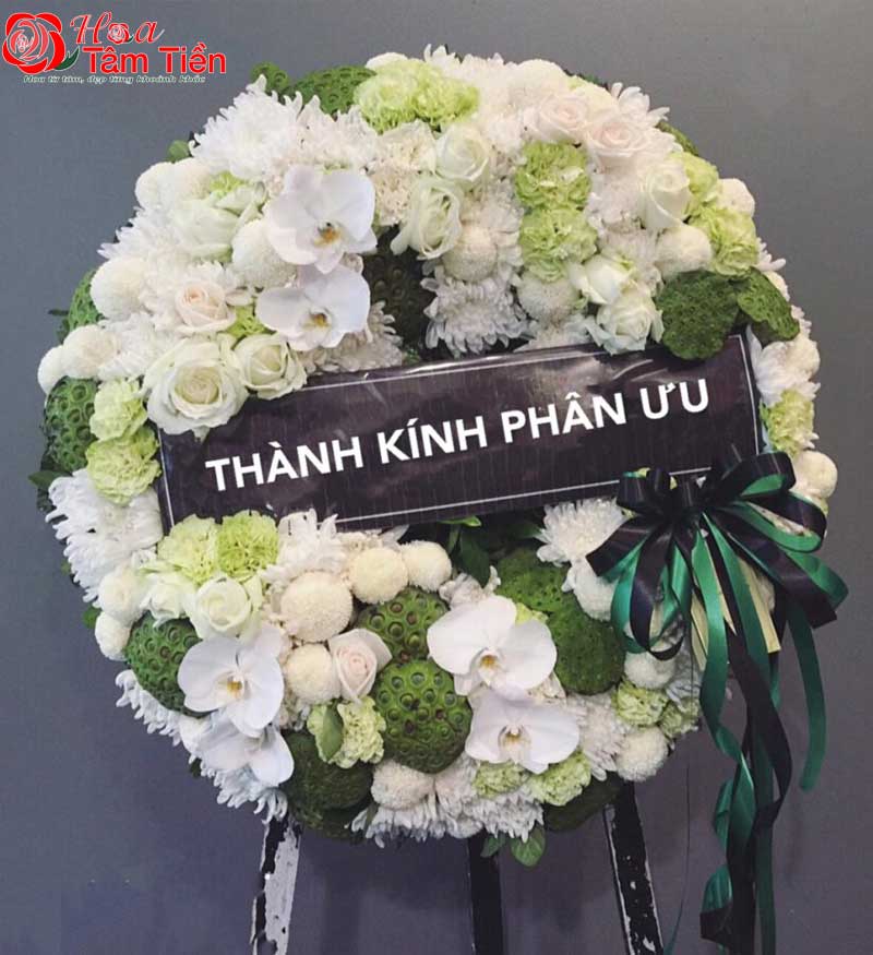 Hoa Tâm Tiền Vũng Tàu