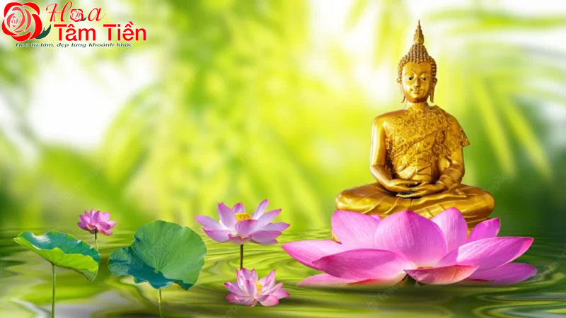 Ý nghĩa biểu tượng của hoa sen trong Phật giáo