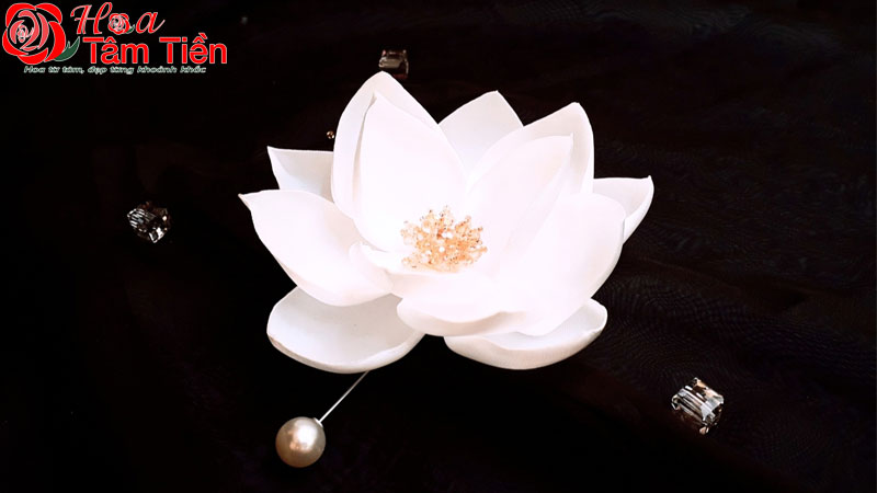 Ý nghĩa biểu tượng của hoa sen trong Phật giáo