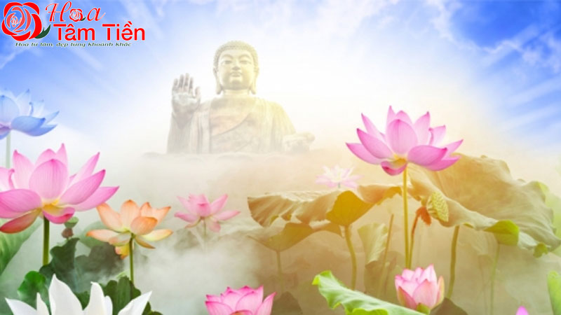 Hoa Tâm Tiền Vũng Tàu