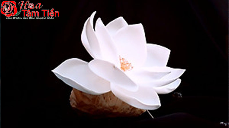 Ý nghĩa các loại hoa trong mùa vu lan 