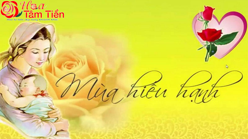 Hoa Tâm Tiền Vũng Tàu