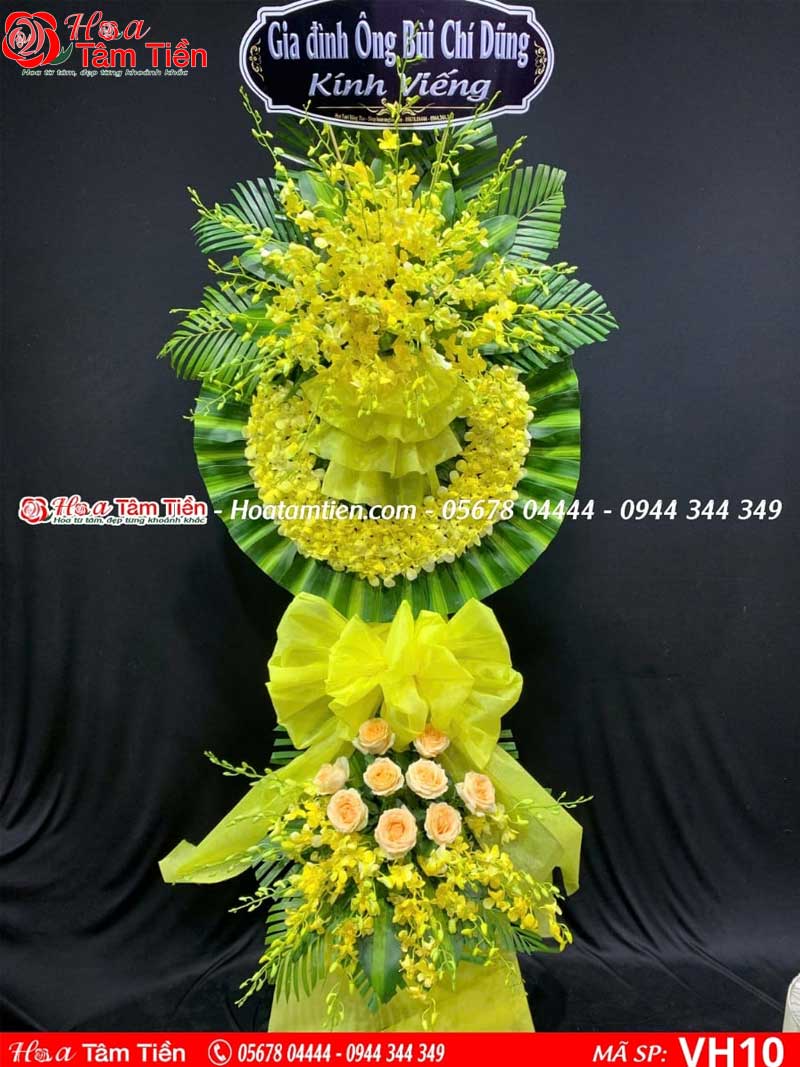 Hoa Tâm Tiền Vũng Tàu