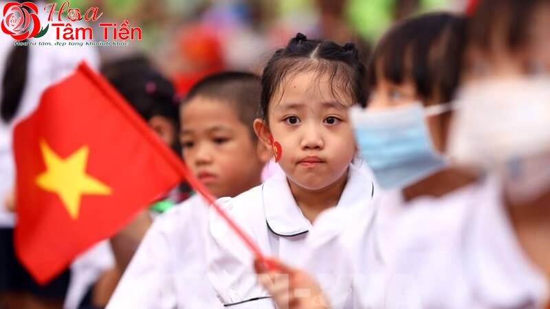 Hoa Tâm Tiền Vũng Tàu