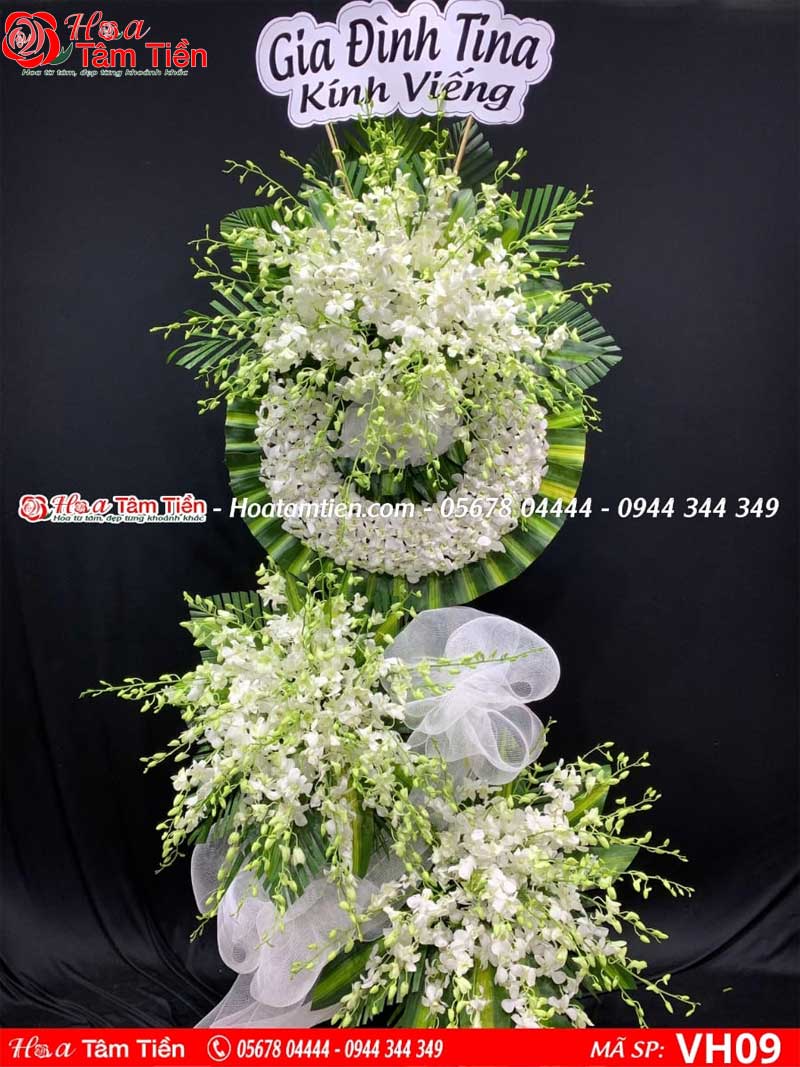 Hoa Tâm Tiền Vũng Tàu