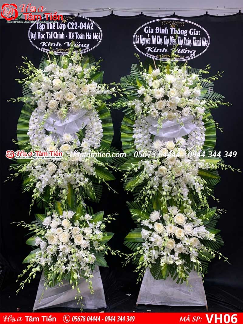 Hoa Tâm Tiền Vũng Tàu