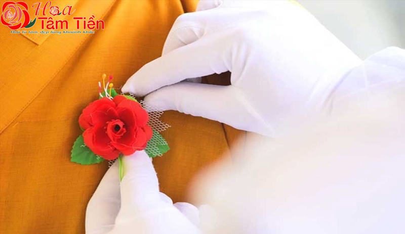 Hoa Tâm Tiền Vũng Tàu