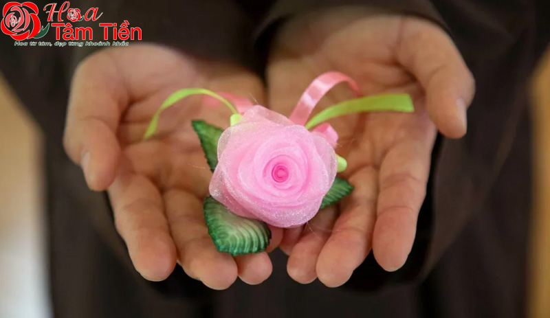 Bông hồng hồng (màu đỏ nhạt)