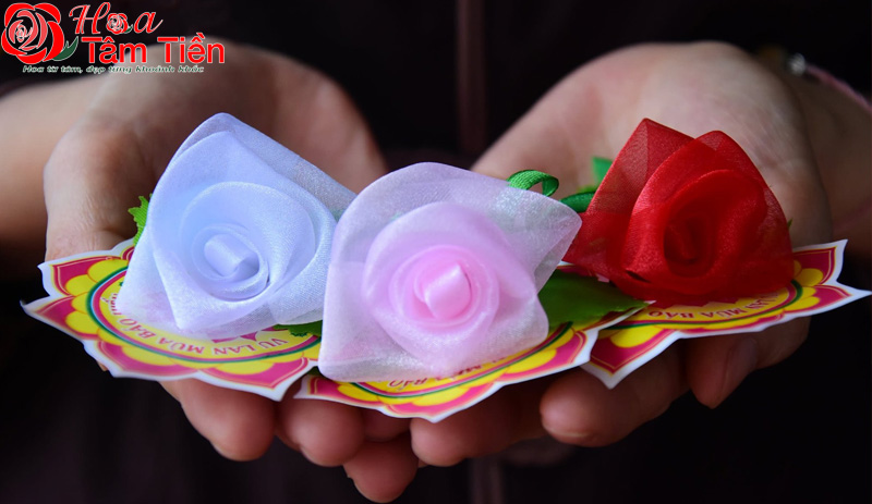 Ý nghĩa Bông hồng cài áo trong lễ Vu Lan báo hiếu