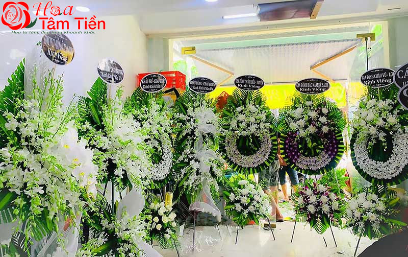 Hoa Tâm Tiền Vũng Tàu