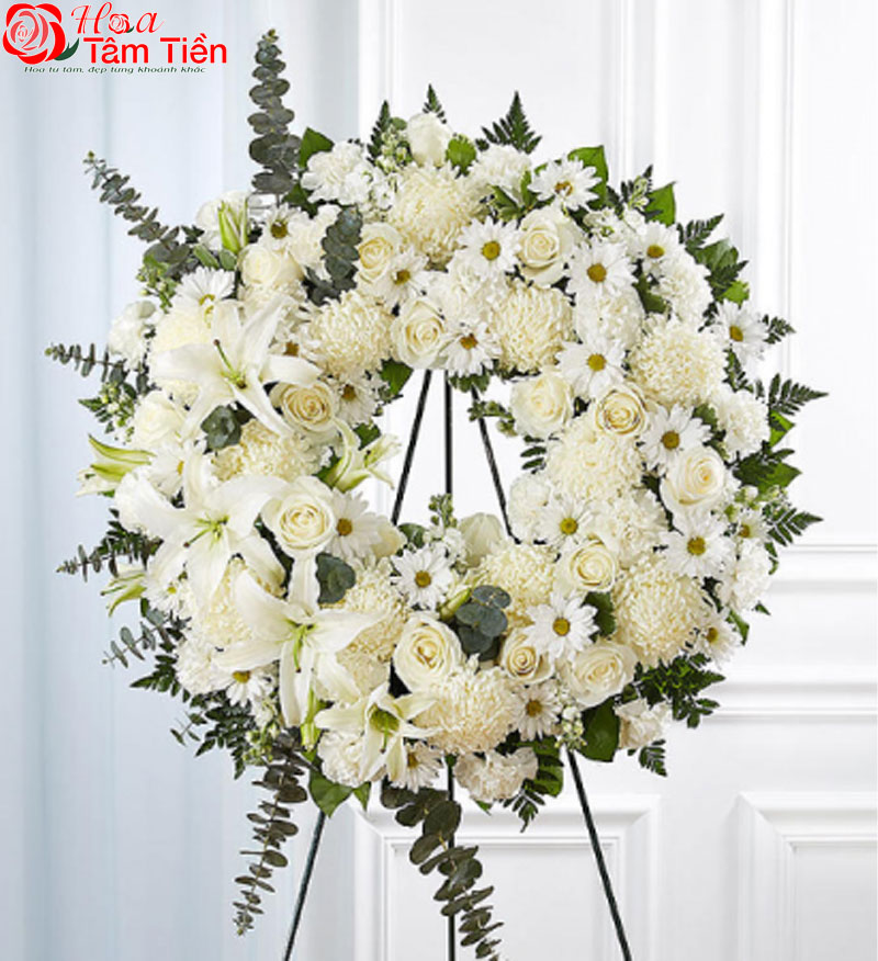 Hoa Tâm Tiền Vũng Tàu