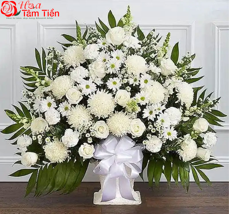 Hoa Tâm Tiền Vũng Tàu