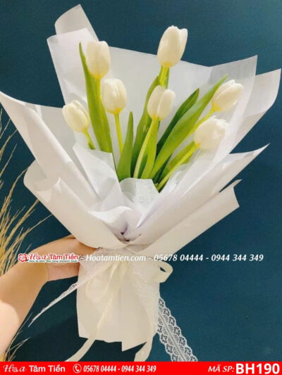 bó hoa 7 bông tulip trắng gói giấy trắng rất xinh