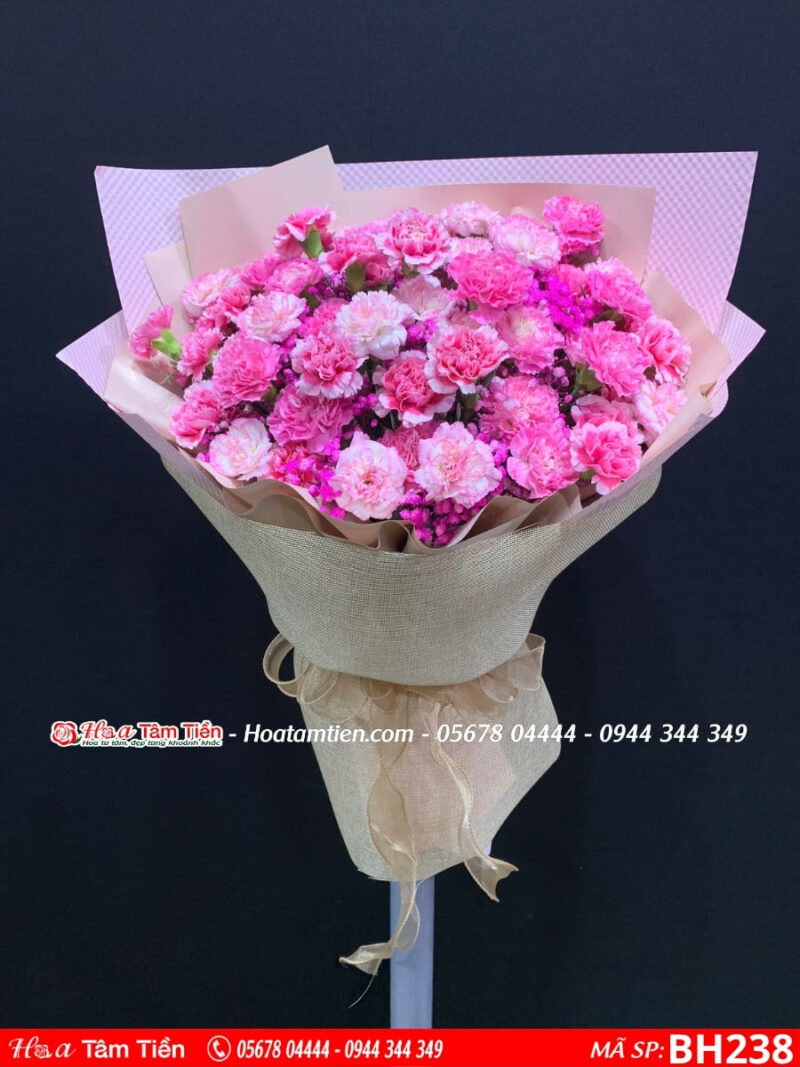 bó hoa cẩm chướng đơn tone hồng