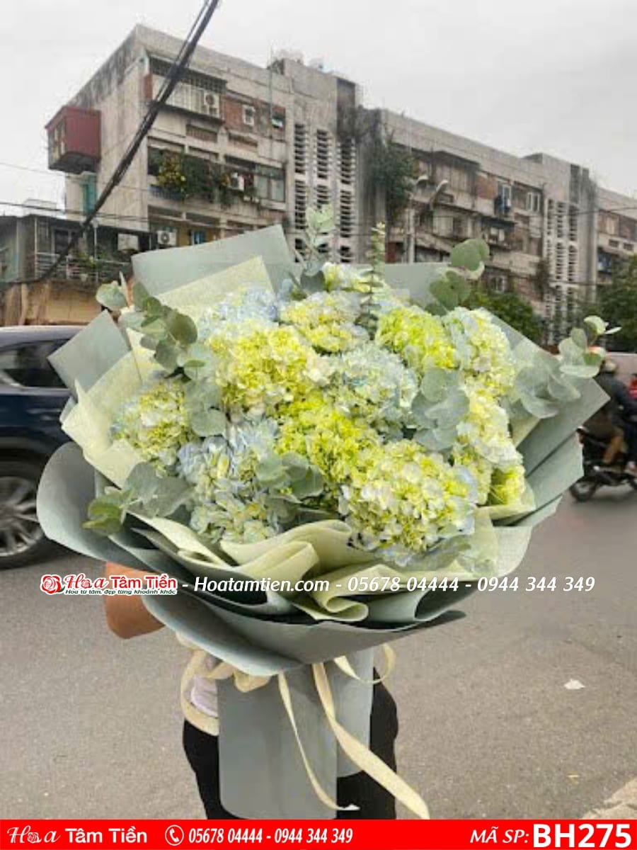 bó hoa cẩm tú cầu xanh bơ phối cùng lá bạc tại shop hoa tươi bà rịa