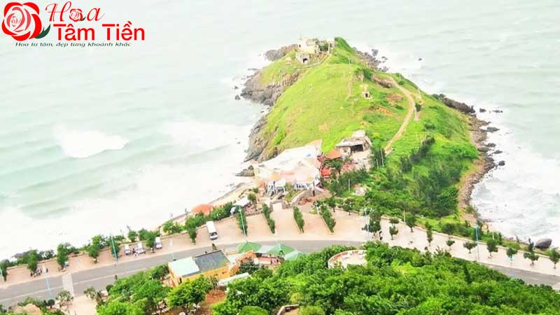 Địa điểm chụp hình đẹp ở Vũng Tàu sống ảo cực chill