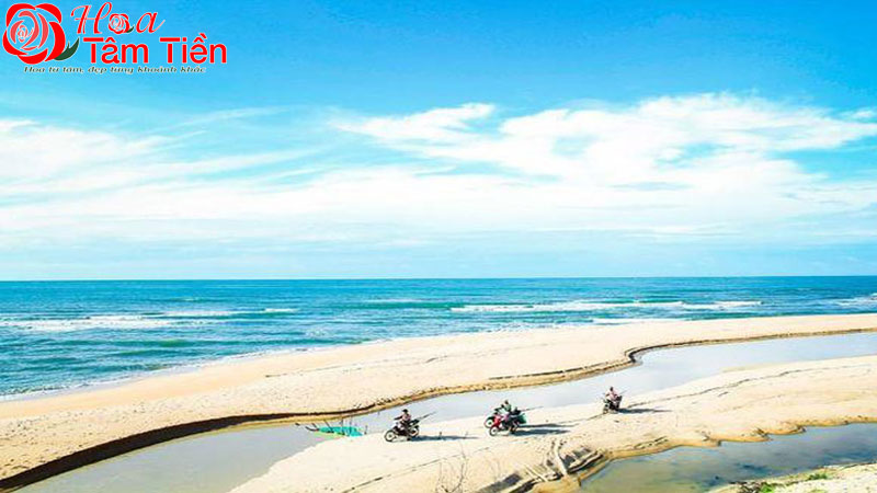 Địa điểm chụp ảnh cưới Vũng Tàu đẹp nhất mùa cưới 2025