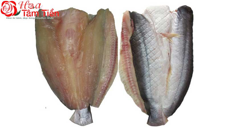 Hoa Tâm Tiền