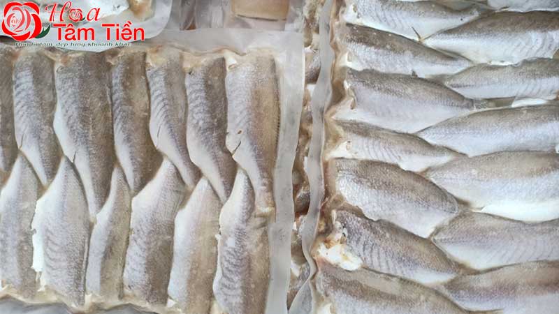 Hoa Tâm Tiền