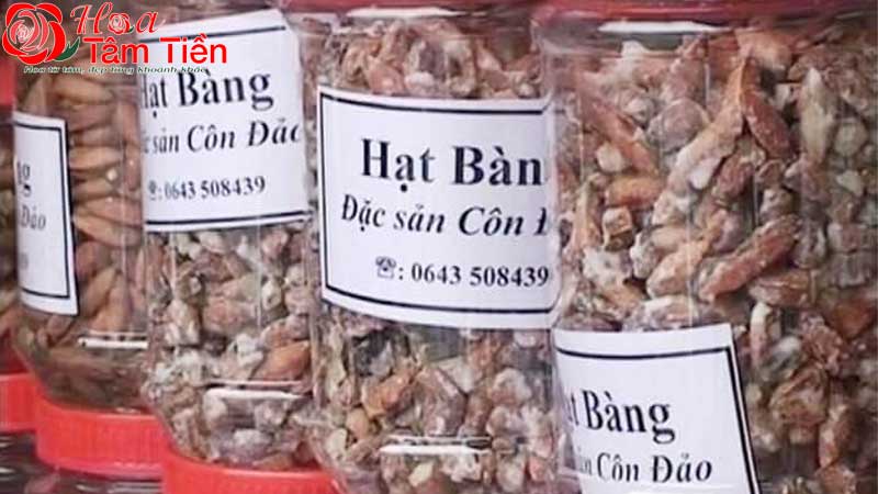 Hoa Tâm Tiền