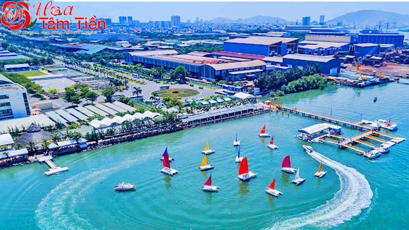 Địa điểm chụp hình đẹp ở Vũng Tàu sống ảo cực chill