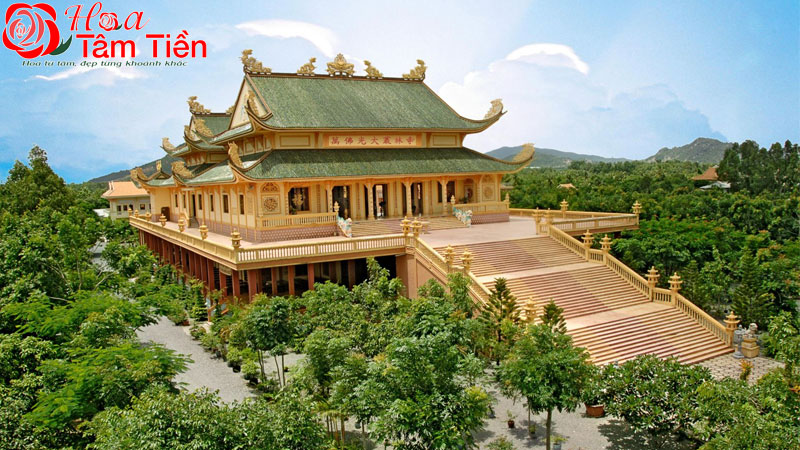Địa điểm chụp hình đẹp ở Vũng Tàu sống ảo cực chill