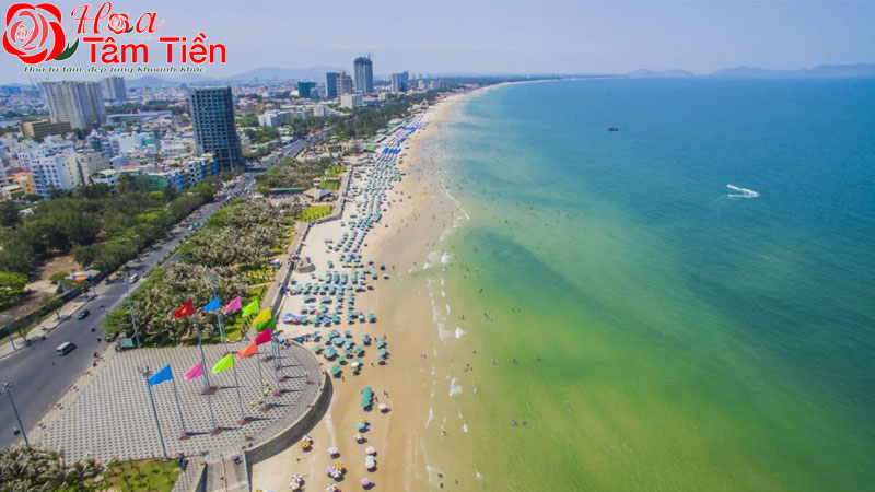 Địa điểm chụp hình đẹp ở Vũng Tàu sống ảo cực chill