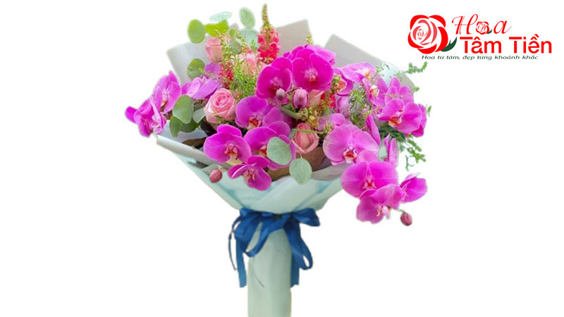 Hoa Tâm Tiền 16 loại hoa tặng cô giáo 20/10 mừng ngày phụ nữ Việt Nam ý nghĩa nhất