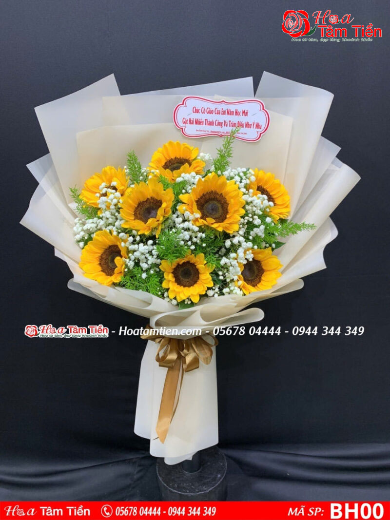 Hoa Tâm Tiền 16 loại hoa tặng cô giáo 20/10 mừng ngày phụ nữ Việt Nam ý nghĩa nhất