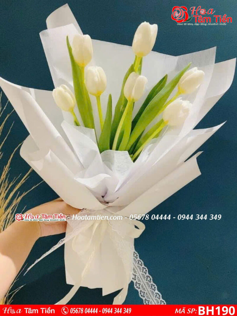 Hoa Tâm Tiền 16 loại hoa tặng cô giáo 20/10 mừng ngày phụ nữ Việt Nam ý nghĩa nhất