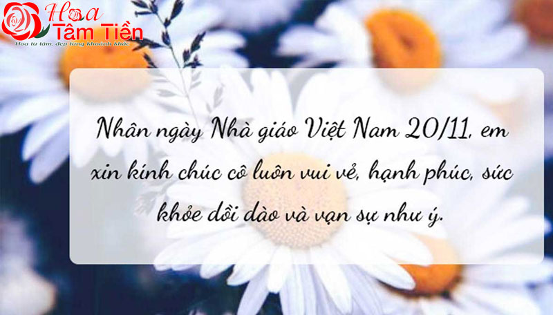 Hoa Tâm Tiền