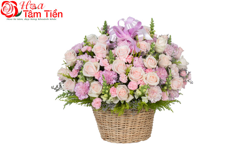 Giỏ hoa cẩm chướng