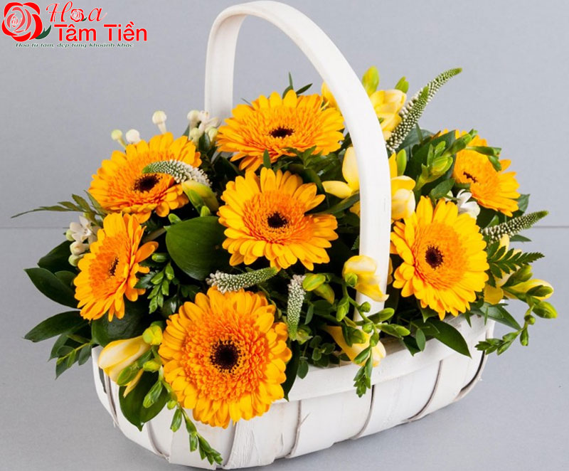 Giỏ hoa đồng tiền