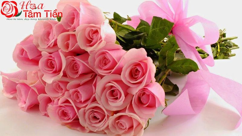 Hoa Tâm Tiền Điểm danh những loại hoa 20/11 ý nghĩa nhất dành tặng cho thầy cô giáo