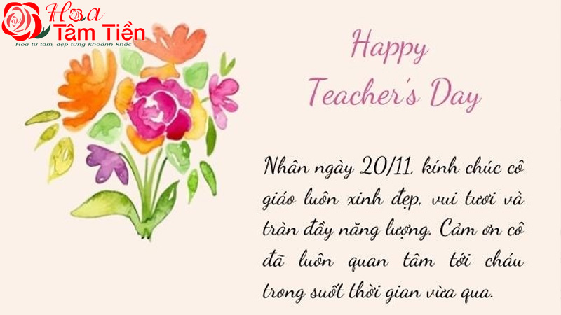 Hoa Tâm Tiền 80+ lời chúc 20/11 ngắn gọn ý nghĩa dành cho thầy cô giáo