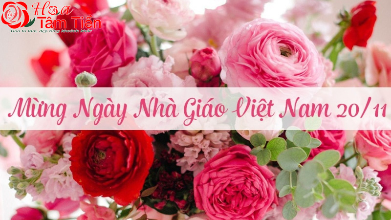 Hoa Tâm Tiền Lịch sử ra đời và ý nghĩa của ngày Nhà Giáo Việt Nam 20/11