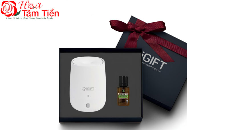 Bộ khuếch tán tinh dầu và nến thơm