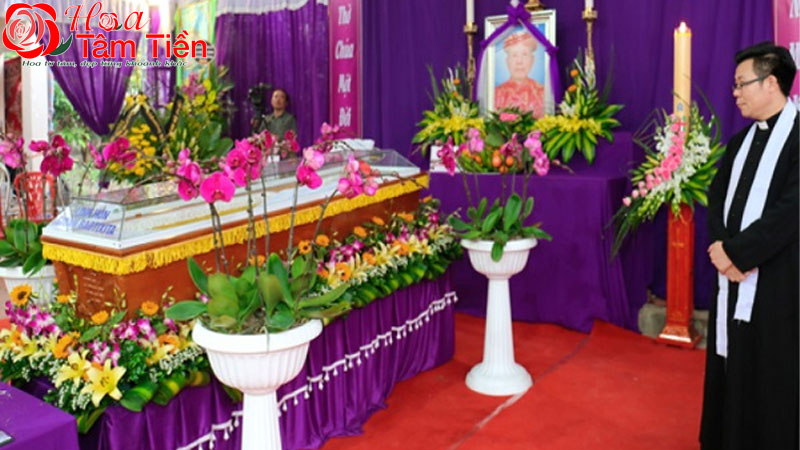 Hoa Tâm Tiền Hoa Tâm Tiền