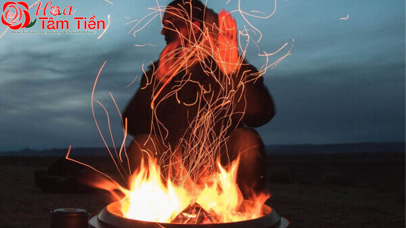 Hoa Tâm Tiền Hoa Tâm Tiền