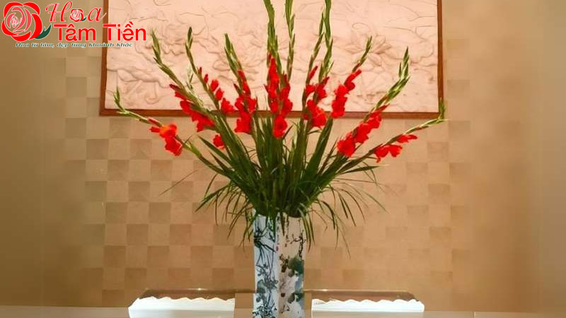 Hoa Tâm Tiền Hoa Tâm Tiền