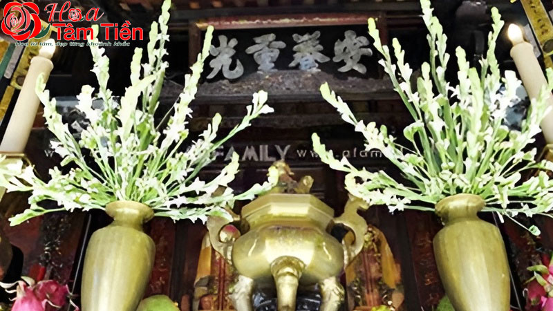 Hoa huệ thắp hương có ý nghĩa gì trong đám tang?