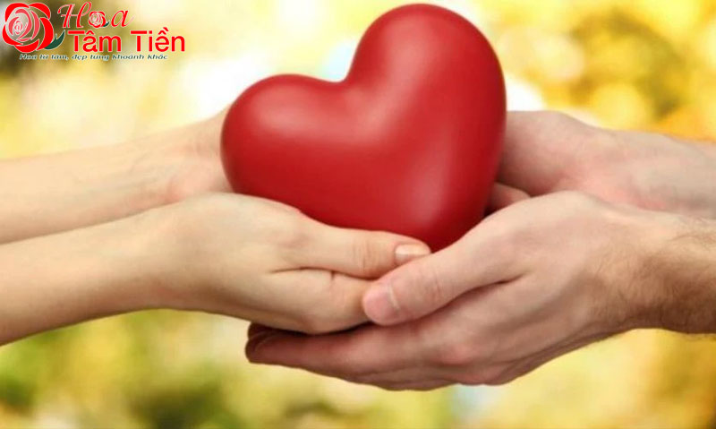 Hoa Tâm Tiền Hoa Tâm Tiền