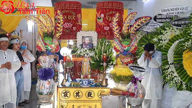 Hoa Tâm Tiền Hoa Tâm Tiền