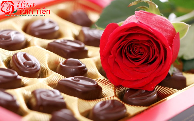 Hoa Tâm Tiền Hoa Tâm Tiền