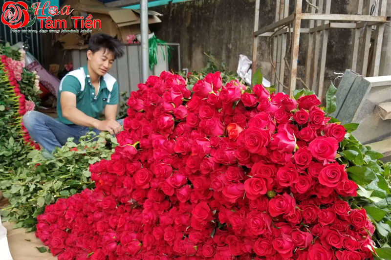 Ý nghĩa của hoa hồng và socola ngày valentine 14/2