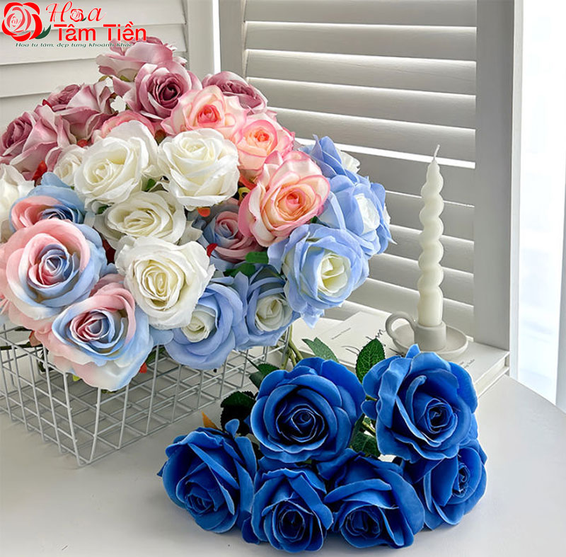 Các loại hoa hồng valentine và ý nghĩa khi tặng