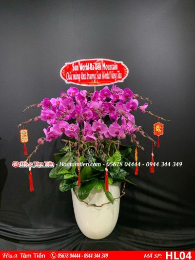 Hoa Lan Hồ Điệp 04