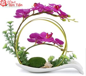Hoa Tâm Tiền