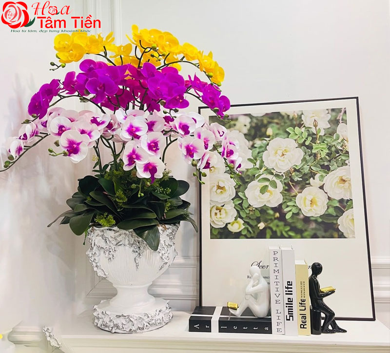 Chiêm ngưỡng 15+ mẫu chậu lan hồ điệp giả cao cấp đẹp nhất