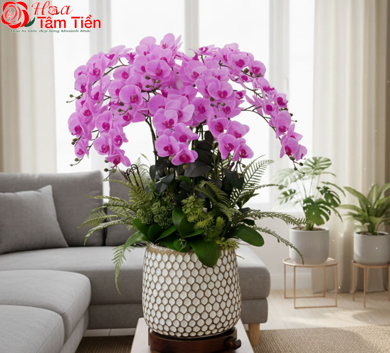 Chiêm ngưỡng 15+ mẫu chậu lan hồ điệp giả cao cấp đẹp nhất